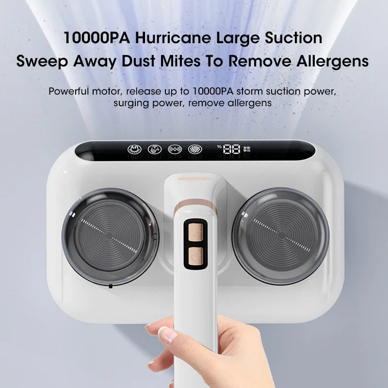 CleanSleep Dust Remover